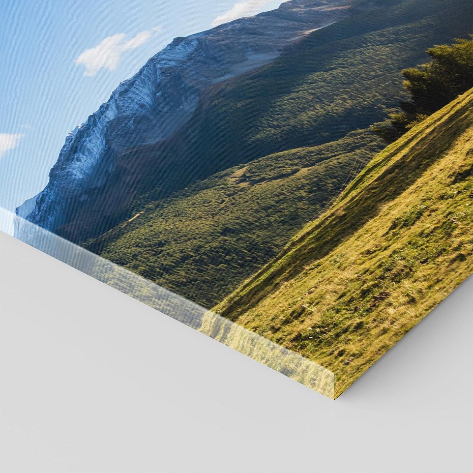 Obraz na płótnie 60x60 - Górski pejzaż: łąka i szczyty - góry, łąka