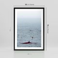 Plakat w ramie 50x70 - Spotkanie z Orką - morze, ocean - rama czarna