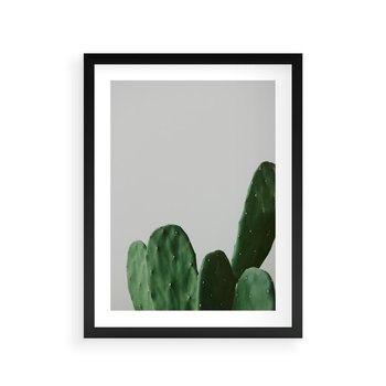 Plakat w ramie 30x40 - Majestatyczne Wysokości - kaktusy, liście - rama czarna