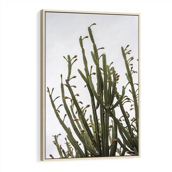 Obraz w ramie 50x70 - Ekskluzywna Roślinność - kaktusy, liście - rama drewno