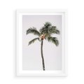 Plakat w ramie 50x70 - Wakacyjne Marzenia - palma na tle nieba - rama biała