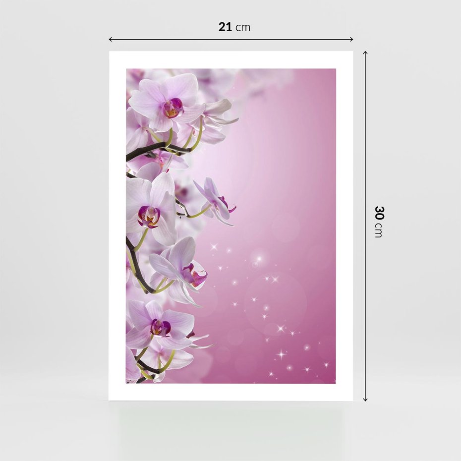 Plakat bez ramy 21x30 - Relaksujące Piękno - kwiaty, orchidea