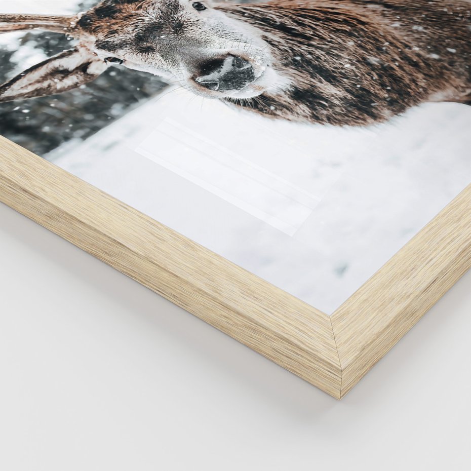 Zestaw obrazy w ramie 30x40 galeria - Jeleń, bizon, zima, retro - rama drewno