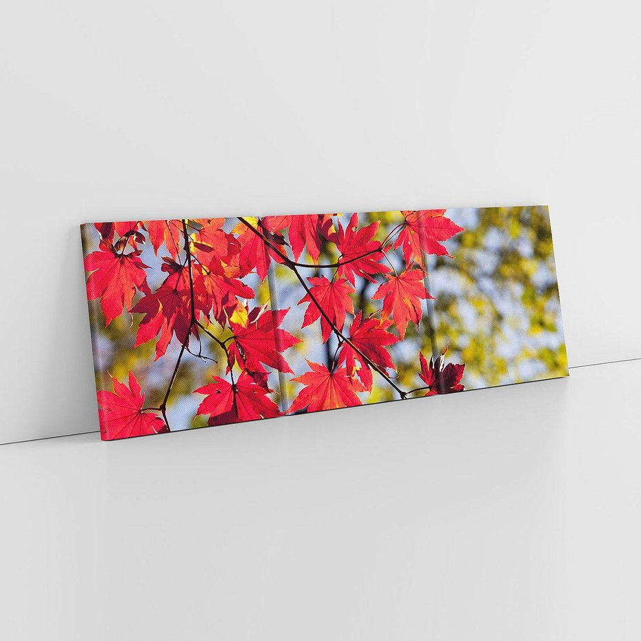 Obraz na płótnie 150x50 - Jesienny Urok Drzewa i Opadających Liści - drzewo, liście