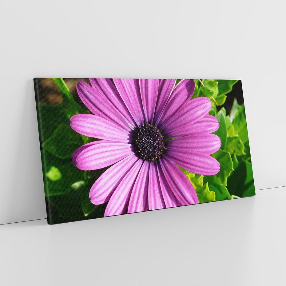 Obraz na płótnie 120x60 - Kwiatowy Dotyk - kwiat, kwiaty