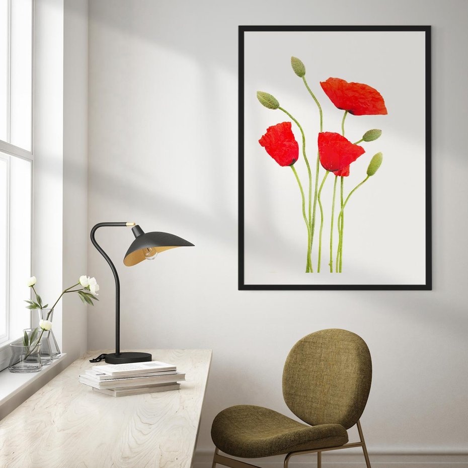 Plakat bez ramy 50x70 - Pola maków w pełnym kolorze - maki, kwiaty