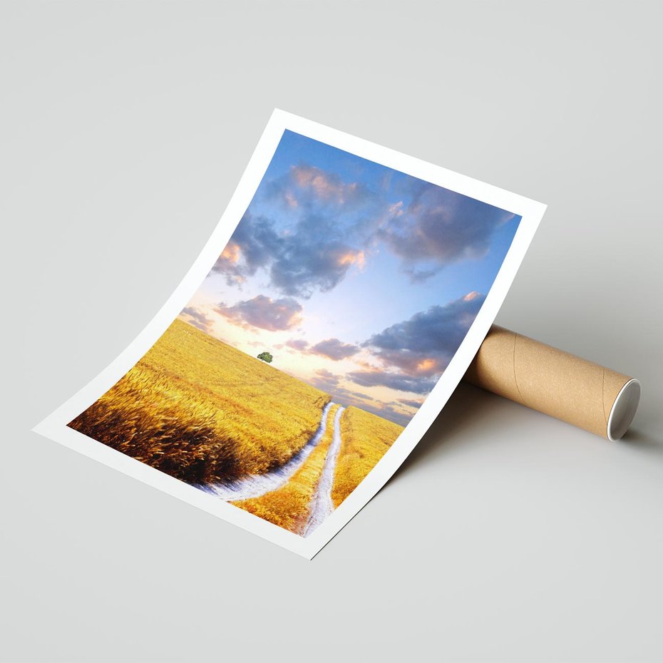 Plakat bez ramy 40x50 - Magiczna droga w lesie - droga, ścieżka