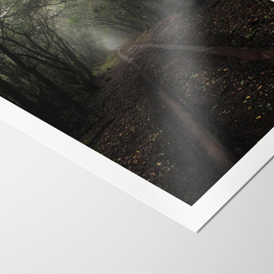 Plakat bez ramy 21x30 - Urok Drogi - las, droga