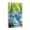 Obraz na płótnie 70x100 - Meksykański wodospad w lesie - wodospad, las