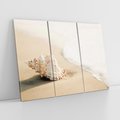 Obraz na płótnie 120x80 - Urok plażowej muszelki - fotografia, muszla na plaży