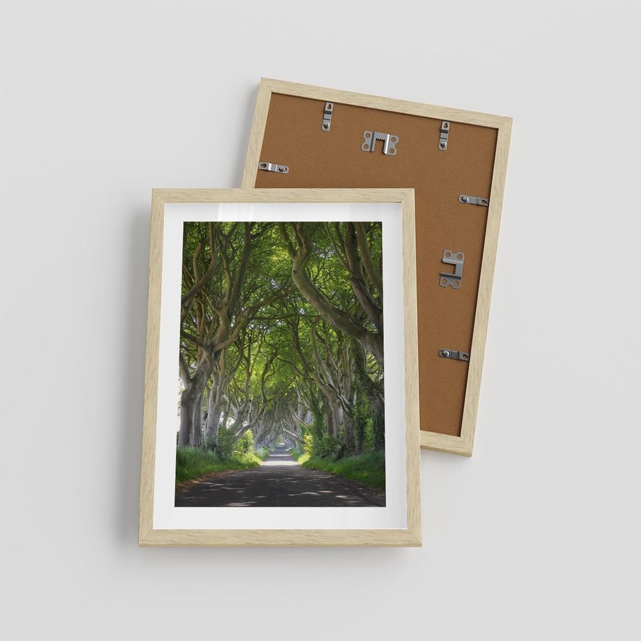 Plakat w ramie 30x40 - Magiczny Las - drzewa, las - rama drewno