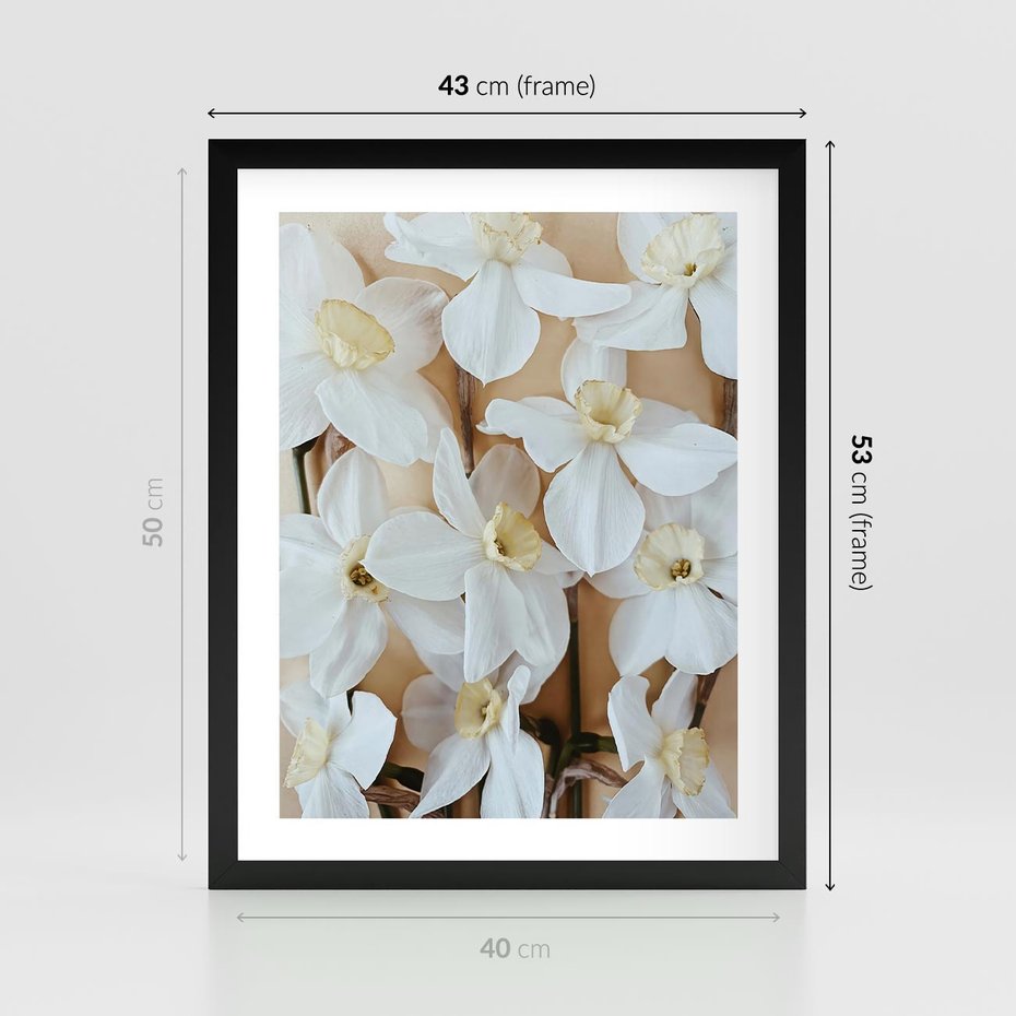 Plakat w ramie 40x50 - Białe Narcyzy - narcyzy, kwiaty - rama czarna
