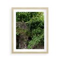 Plakat w ramie 40x50 - Żywiołowa Zieleń - mur, liście - rama drewno