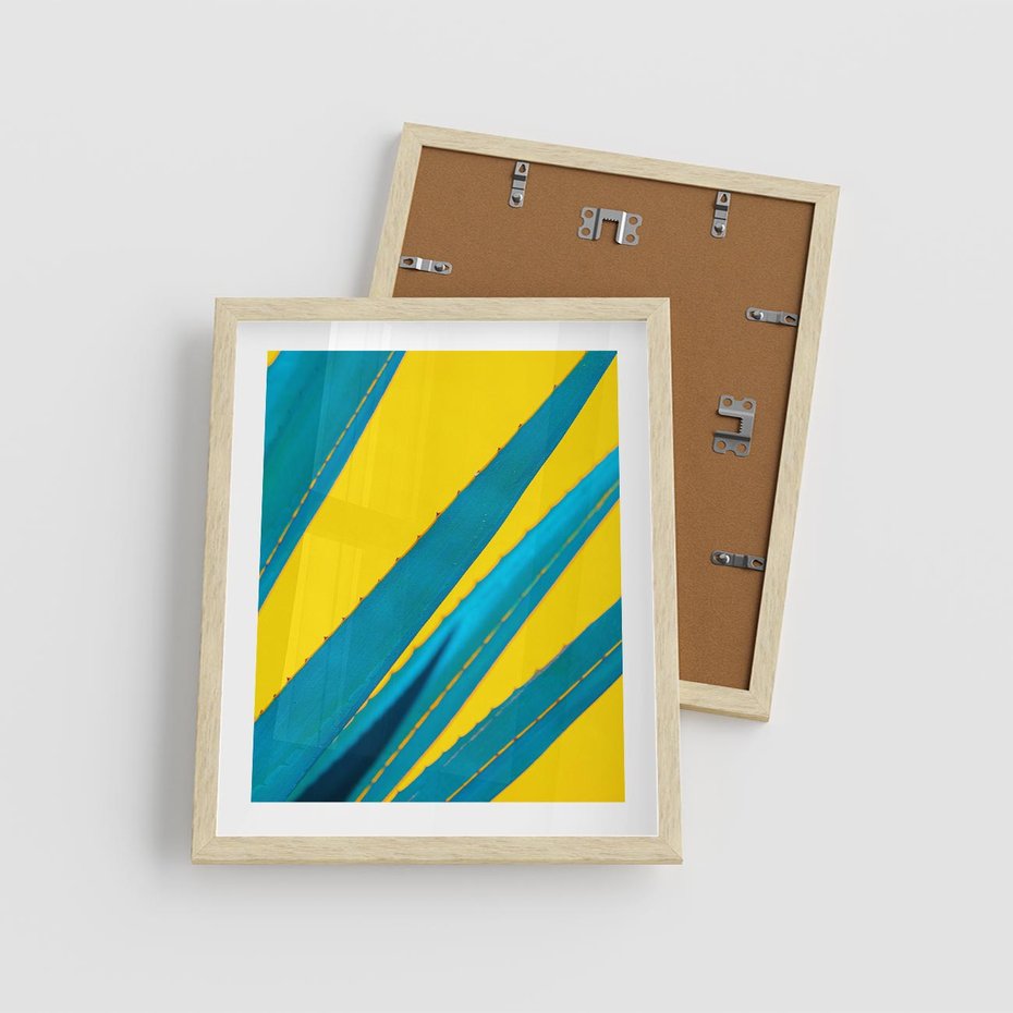 Plakat w ramie 40x50 - Świeżość Natury - aloes, liście - rama drewno