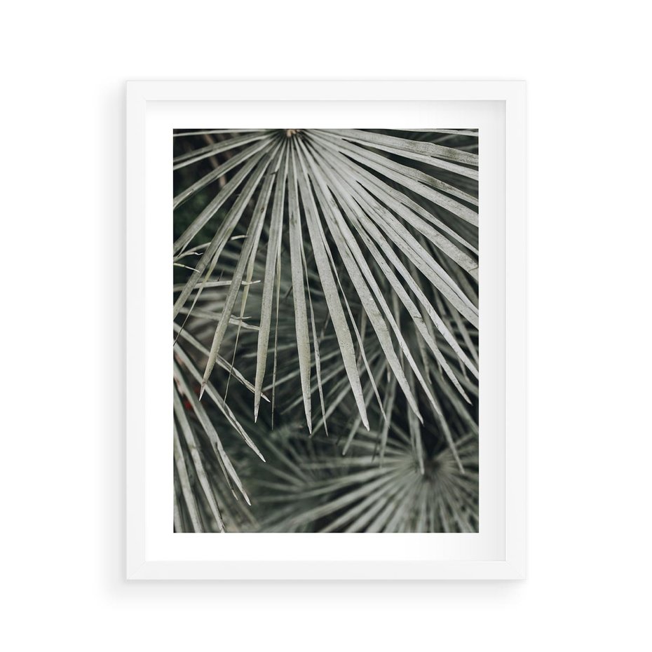 Plakat w ramie 40x50 - Ujęcie Tropikalnej Natury - palmy, liście palmy - rama biała