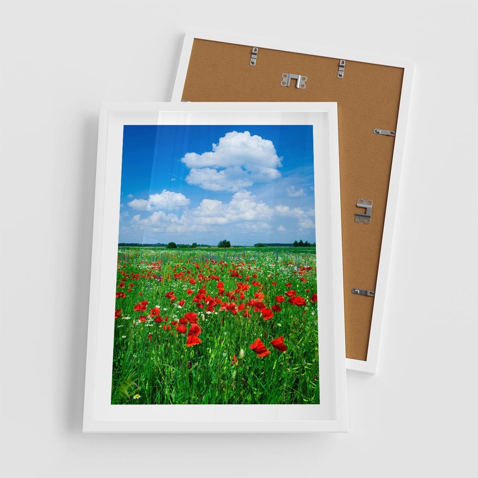 Plakat w ramie 50x70 - Kolorowa łąka pełna maku - łąka, maki - rama biała