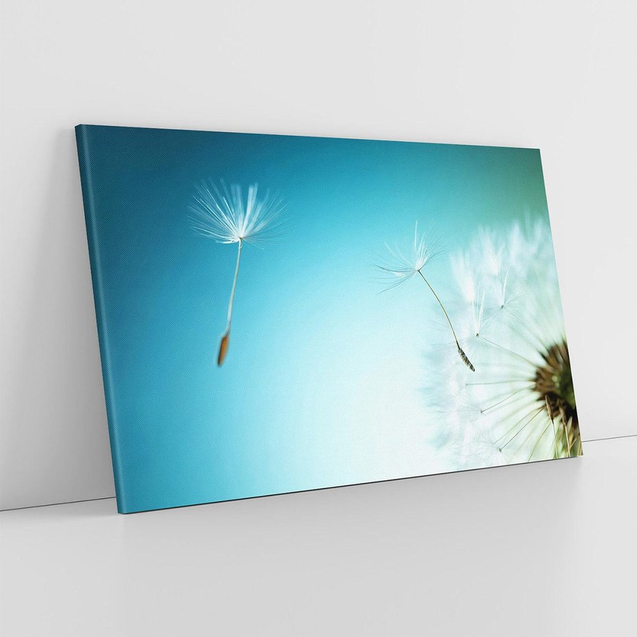 Obraz na płótnie 100x70 - Lekkość i Przemijanie - dmuchawiec, wiatr