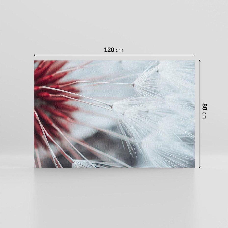 Obraz na płótnie 120x80 - Makro świat dmuchawca - dmuchawiec, makro