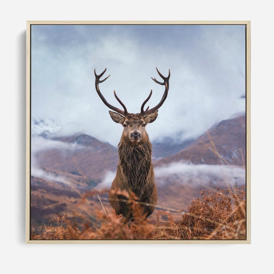 Obraz w ramie 80x80 - Jeleń w Uśpionym Krajobrazie - jeleń na tle gór, ośnieżone góry - rama drewno