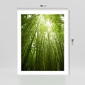 Plakat bez ramy 40x50 - Siła Natury - drzewa, las