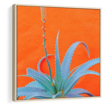 Obraz w ramie 50x50 - Naturalna Harmonia - kaktusy, liście - rama drewno