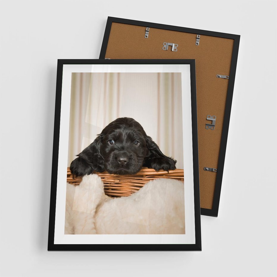 Plakat w ramie 50x70 - Uroczy szczeniak w akcji - piesek, szczeniak - rama czarna