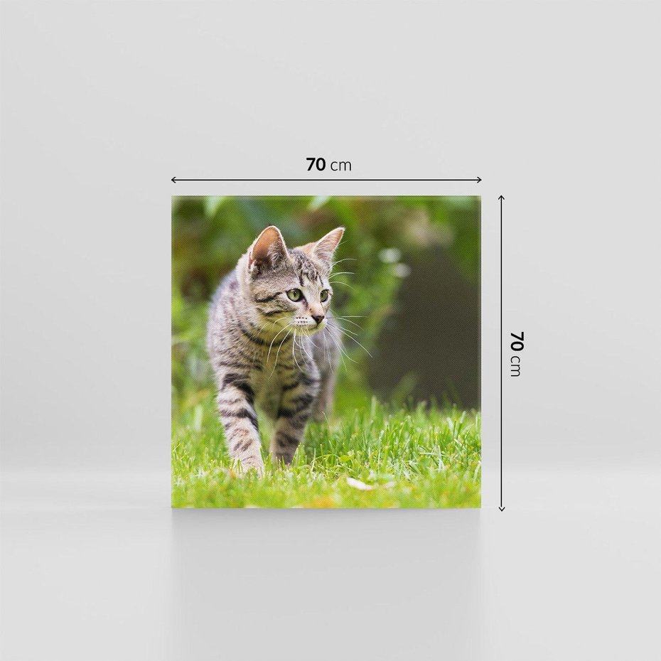 Obraz na płótnie 70x70 - Kocie polowanie w ogrodzie - kot, polowanie