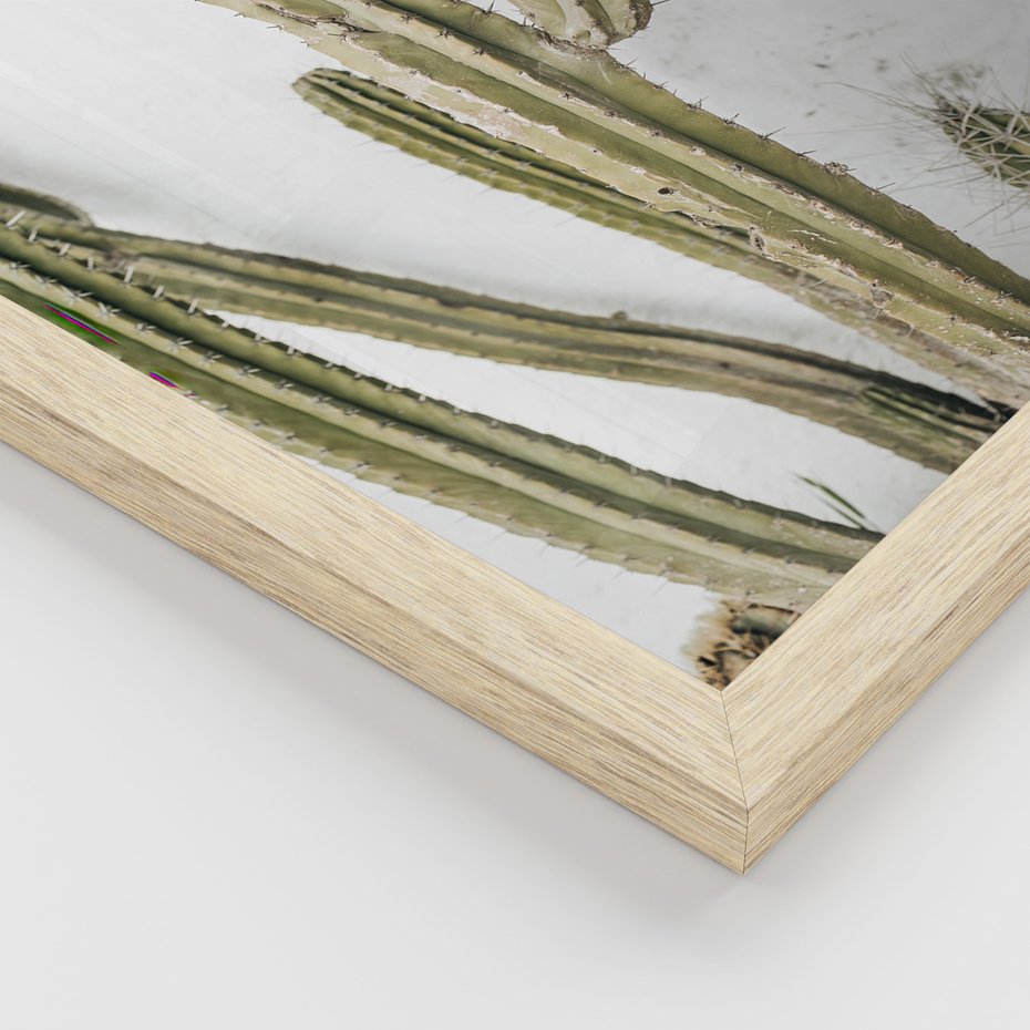 Zestaw obrazy w ramie 40x50 galeria - Think, positive, kaktusy, boho - rama drewno