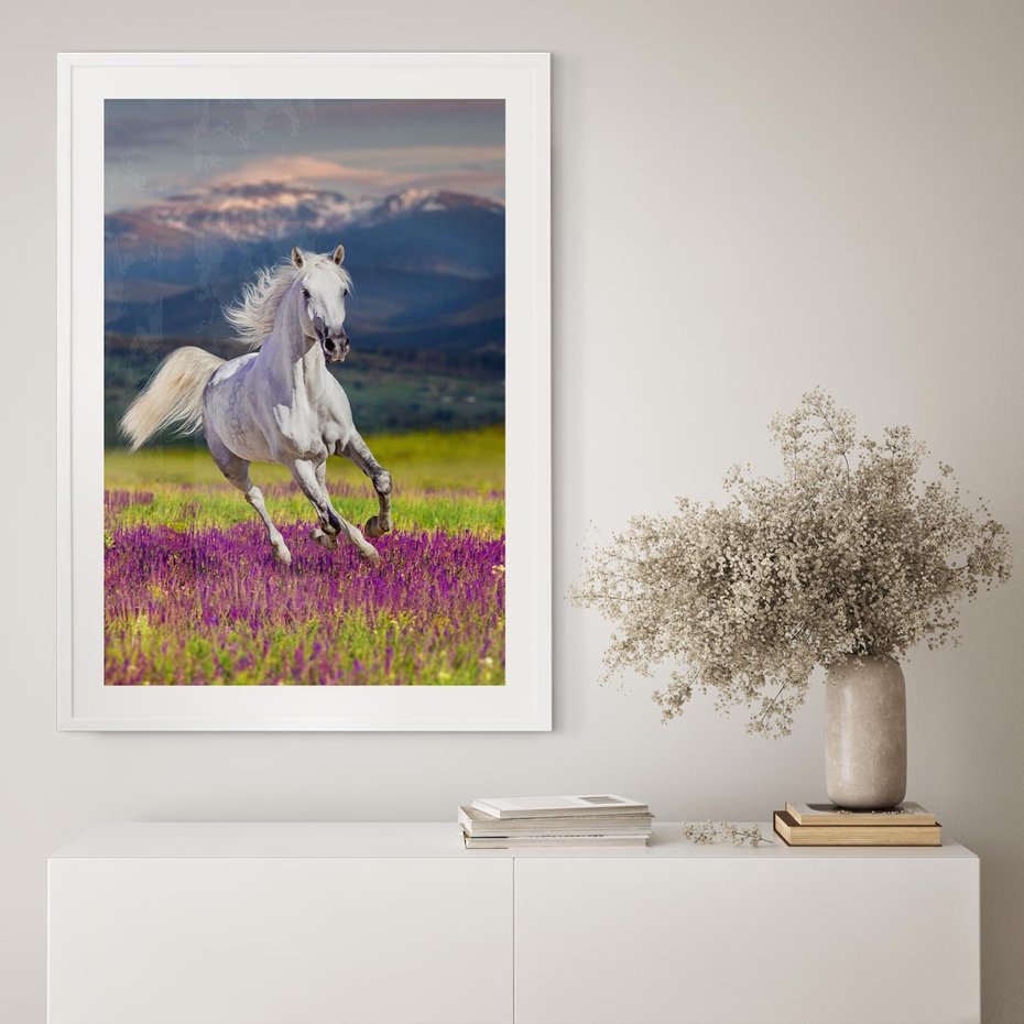 Plakat bez ramy 50x70 - Koń Góry: Spotkanie z Wielką Przyrodą - koń, góry