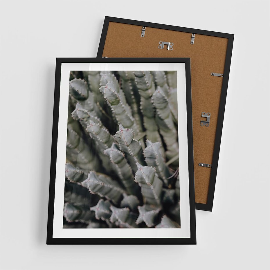 Plakat w ramie 50x70 - Boho kaktusy na pustyni - kaktusy, pustynia - rama czarna