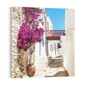 Obraz na płótnie 50x50 - Kwiaty Chorwacji - kwiaty, Chorwacja