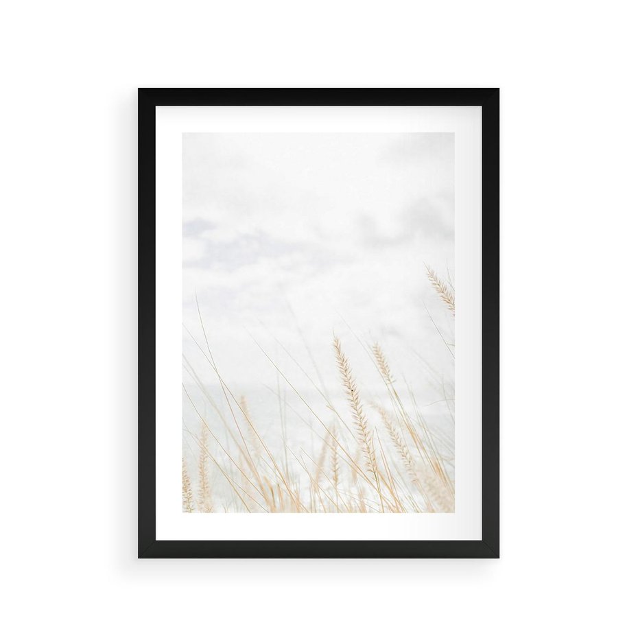 Plakat w ramie 30x40 - Jasna Delikatność: Fotografia Suchych Traw - suche trawy, jasna fotografia - rama czarna