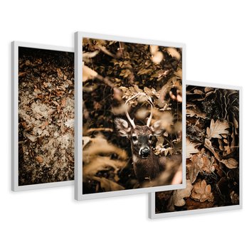Zestaw obrazy w ramie 50x70 galeria - Las, jesień, jeleń - rama biała
