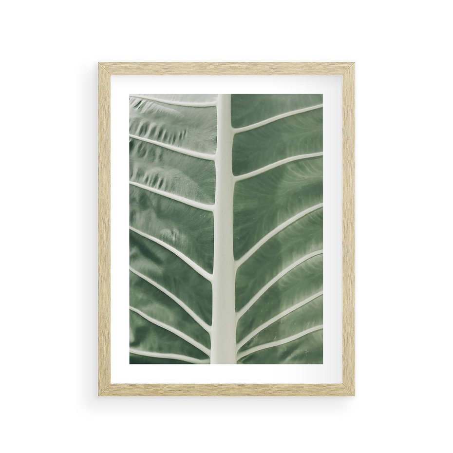 Plakat w ramie 30x40 - Zielone Wielkości: Zbliżenie Liścia - zbliżenie duz liść, jasna zieleń - rama drewno
