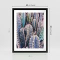 Plakat w ramie 40x50 - Kaktusowy Raj - kaktusy, dużo kaktusów - rama czarna