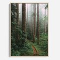 Obraz w ramie 50x70 - Mgliste Marzenia - artystyczna fotografia, las - rama drewno