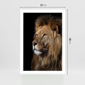 Plakat bez ramy 21x30 - Władca Dzikiej Przyrody - lew, król