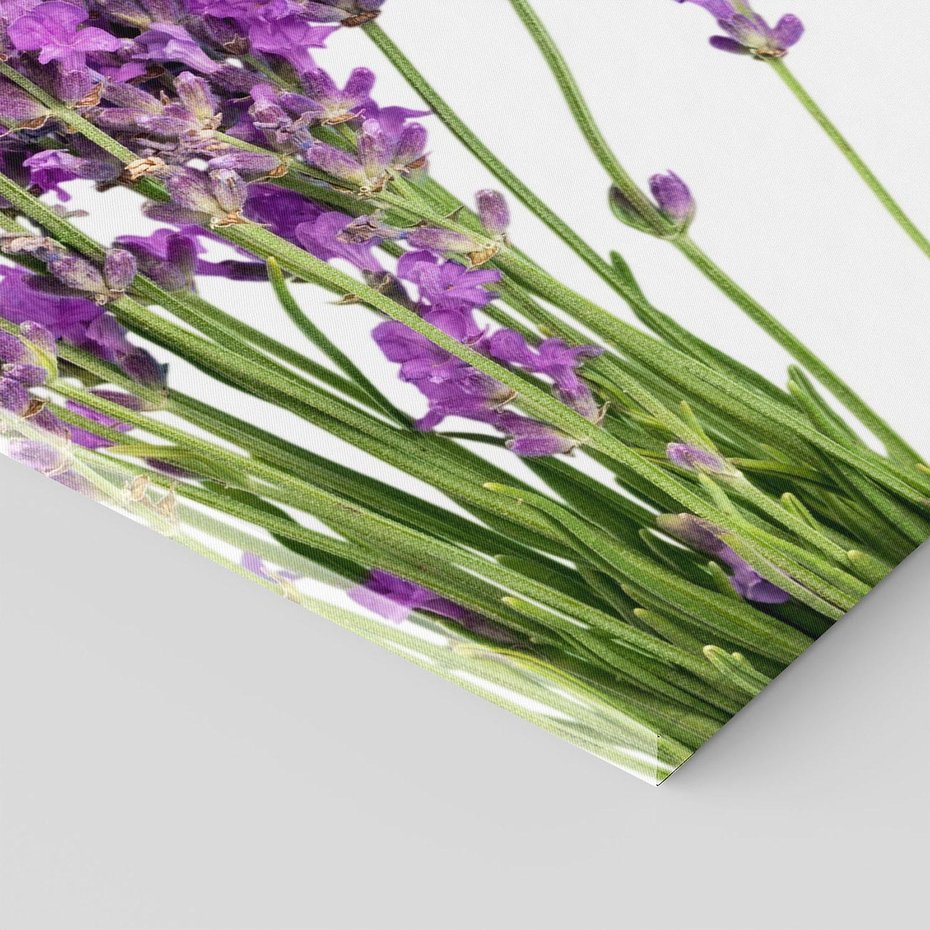 Obraz na płótnie 50x70 - Pola lawendy w pełnym rozkwicie - lawenda, kwiaty