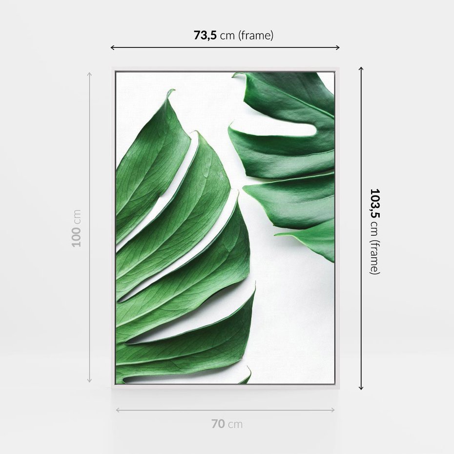 Obraz w ramie 70x100 - Monstera - Liście Kwiaty - monstera, liście - rama biała