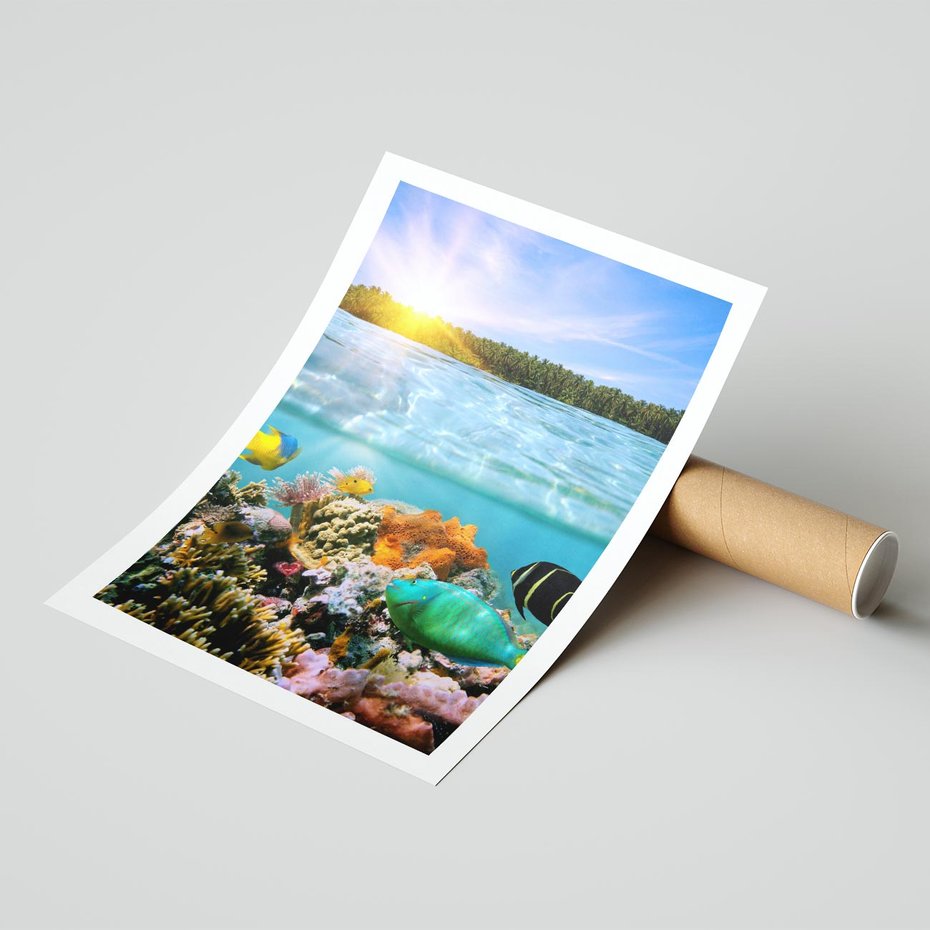 Plakat bez ramy 40x50 - Rafa Koralowa - Podwodne Cuda - rafa, koralowa