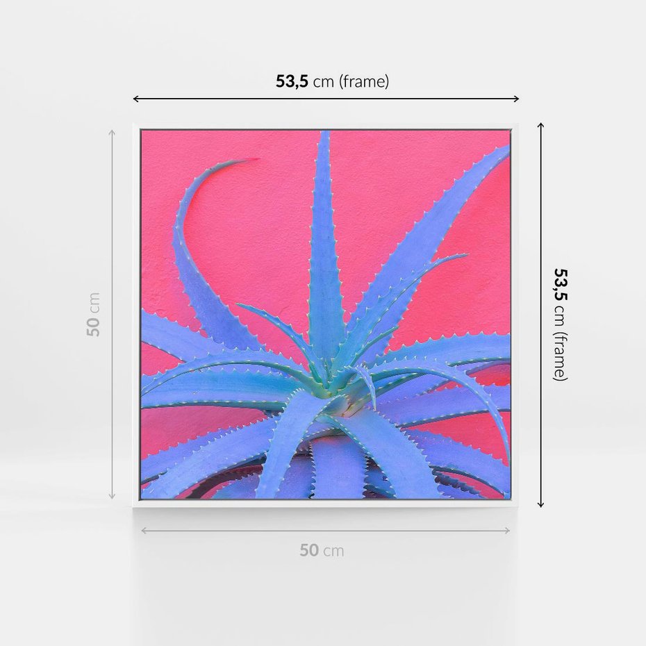 Obraz w ramie 50x50 - Piękno Pustyni - kaktusy, liście - rama biała