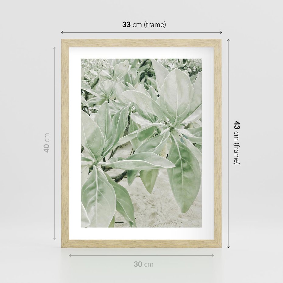 Plakat w ramie 30x40 - Jasnozielone Liście w Kompozycji - liście, jasna zieleń - rama drewno
