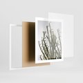 Plakat w ramie 40x50 - Ekskluzywna Roślinność - kaktusy, liście - rama biała