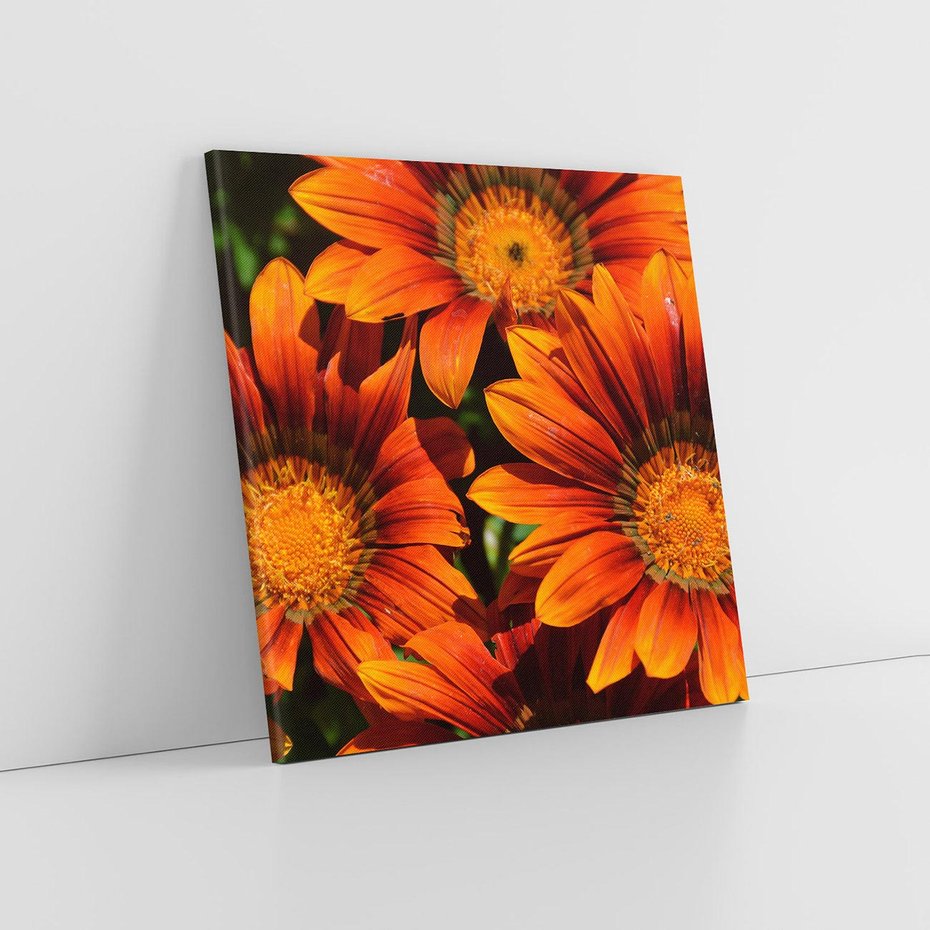 Obraz na płótnie 40x40 - Kwiatowa Esencja - kwiat, kwiaty