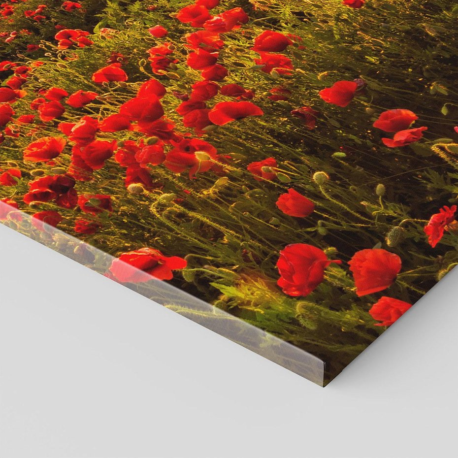 Obraz na płótnie 50x70 - Makowe uczucia - maki, kwiaty