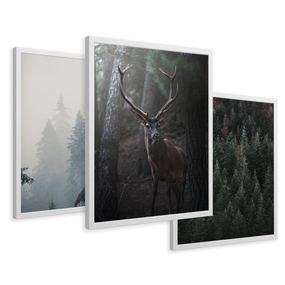 Zestaw obrazy w ramie 30x40 galeria - Jeleń, mglisty, las, skandynawski - rama biała