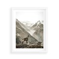 Plakat w ramie 40x50 - Dzikie Piękno: Kozica w Malowniczym Górskim Scenerii - kozica, góry - rama biała
