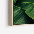Obraz w ramie 50x70 - Zaklęta roślinna ekspresja - liście bananowca, gęsto ułożone - rama drewno