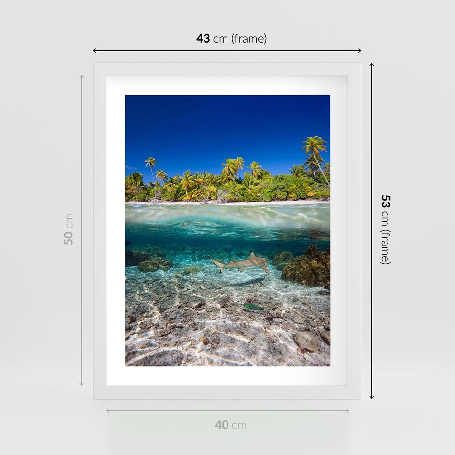 Plakat w ramie 40x50 - Tropikalne Morze i Kolorowa Rafa - tropikalne, morze - rama biała