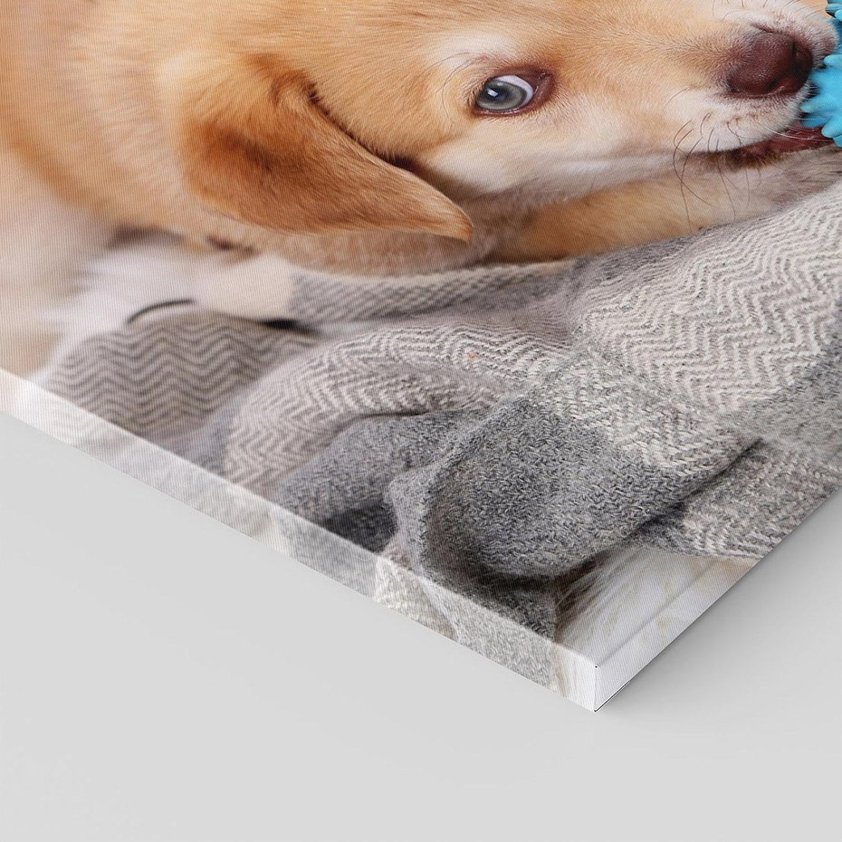 Obraz na płótnie 70x70 - Radość w zabawie: Piesek jako najlepszy przyjaciel - pies, piesek